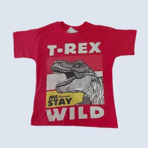 Camiseta Infantil Menino - T Rex