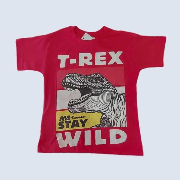 Camiseta Infantil Menino - T Rex